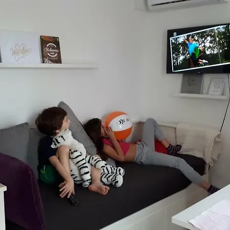 Apartment Robic